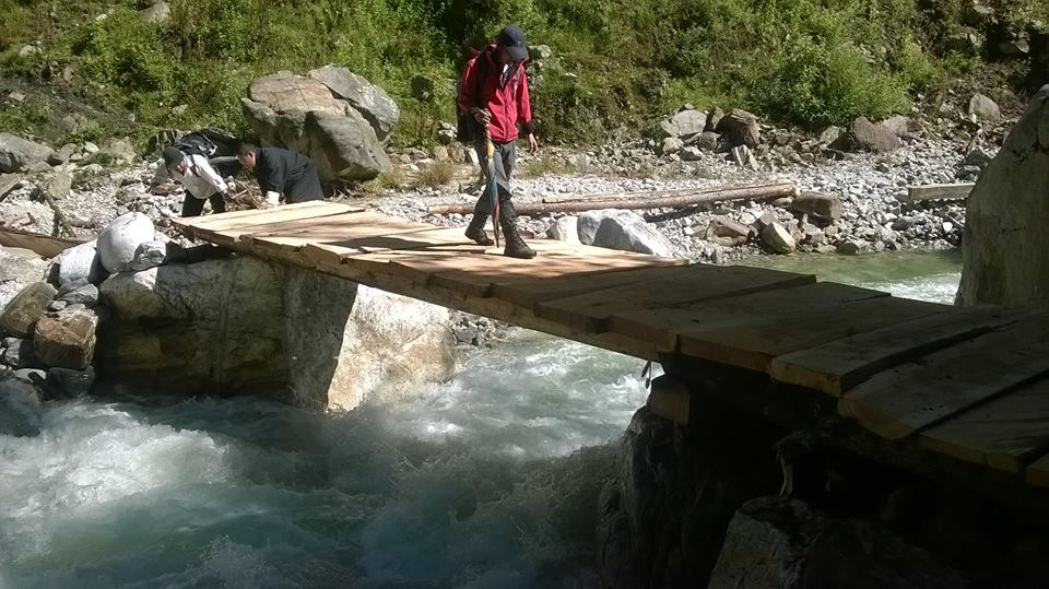 Koina bridge