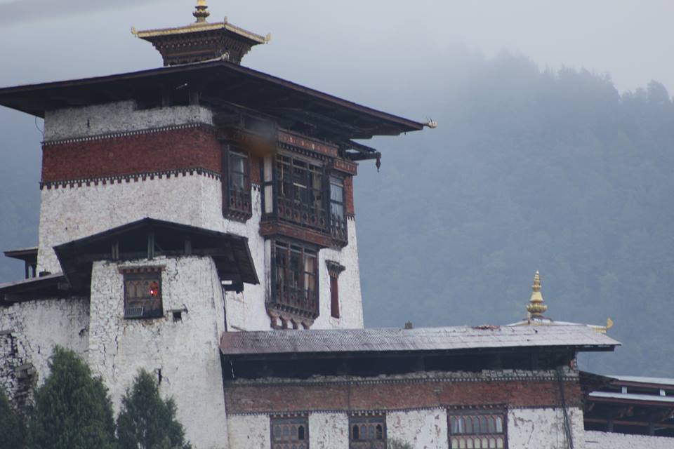 1st pic shows Gasa Dzong with the window of the room where the legendary Singye resided as Gasa Lamai Singye. You can see a light on in that room. 2nd pic shows the two trees standing just next to the dzong, believed to be Singye and Galem.