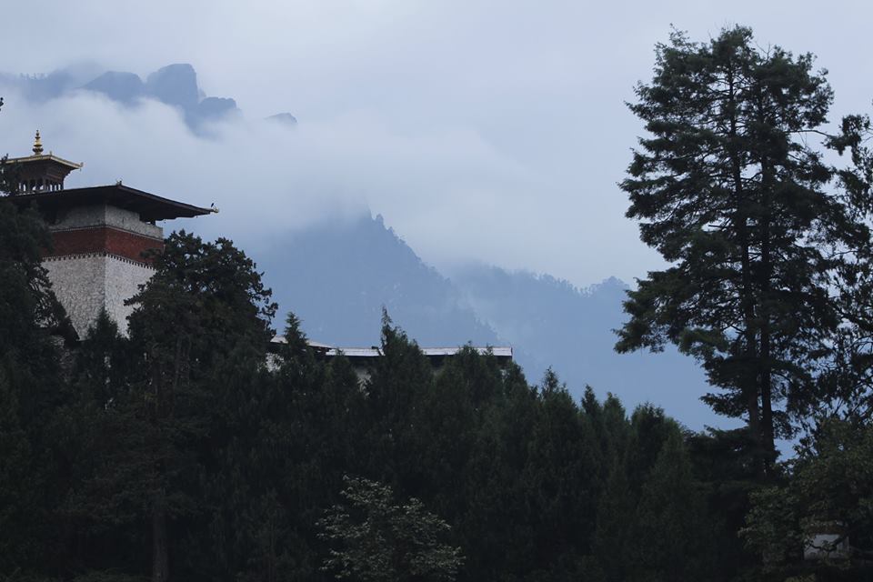 1st pic shows Gasa Dzong with the window of the room where the legendary Singye resided as Gasa Lamai Singye. You can see a light on in that room. 2nd pic shows the two trees standing just next to the dzong, believed to be Singye and Galem.