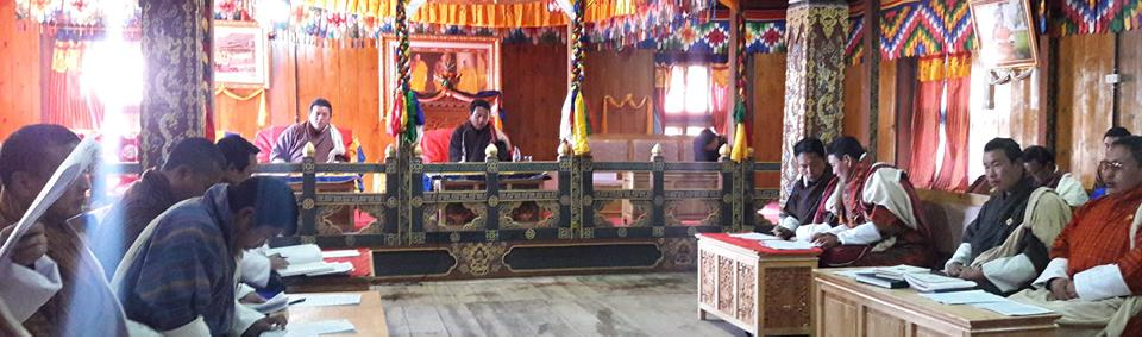  7th Dzongkhag Tshogdue (DT)