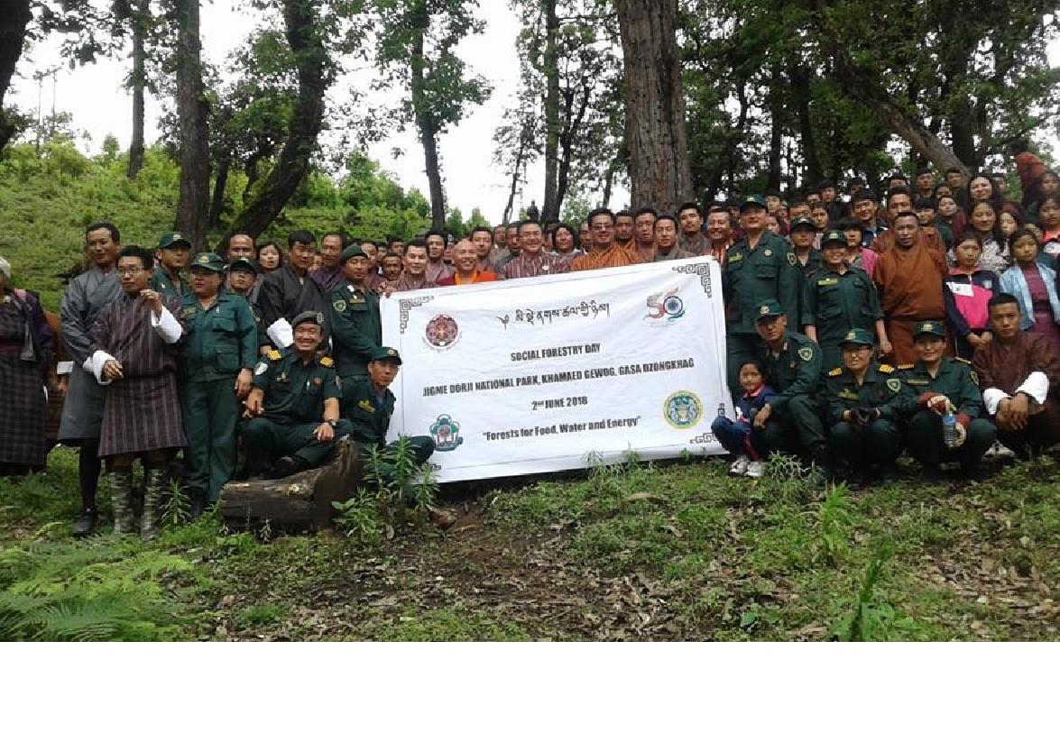 Social Forestry Day