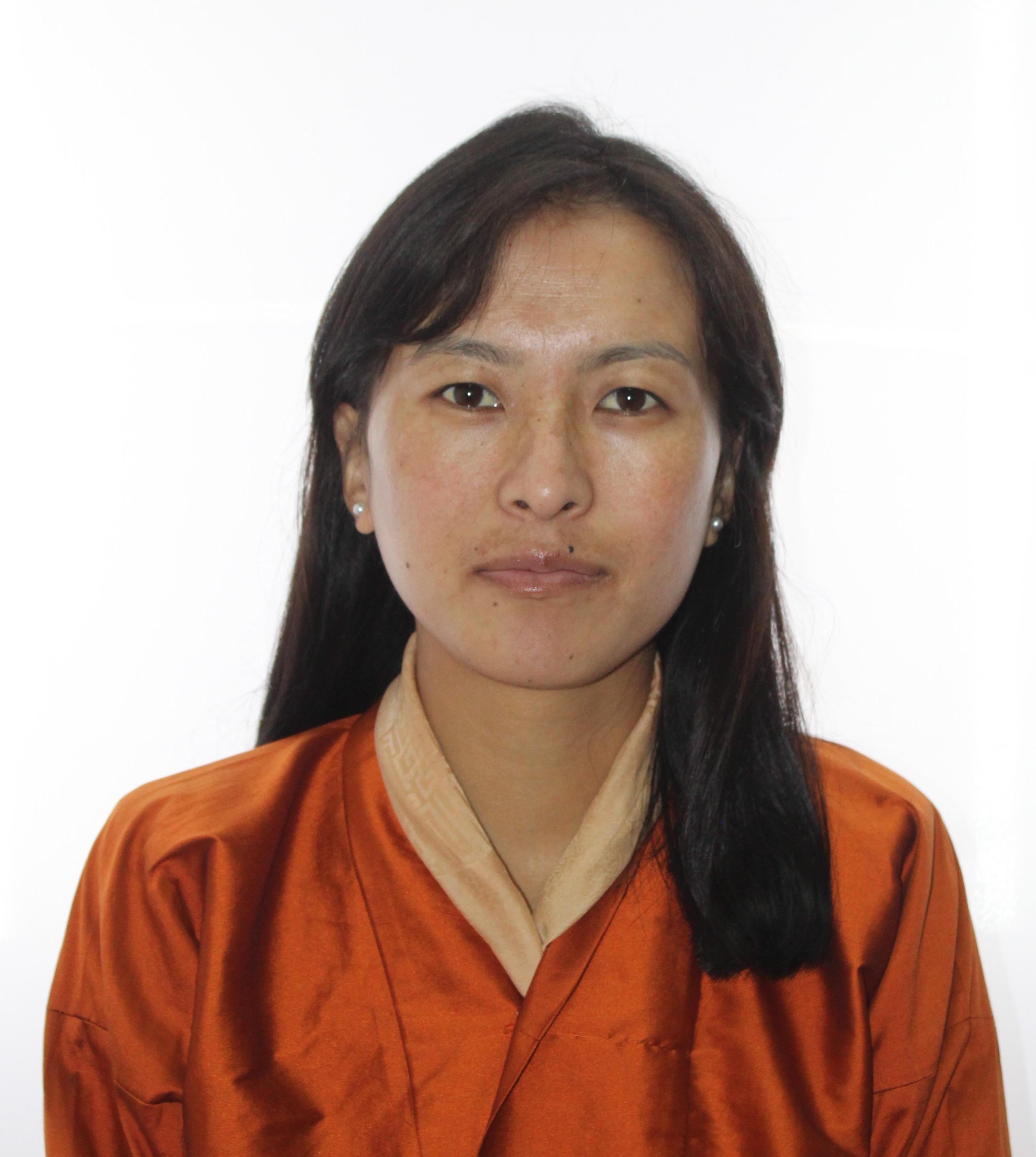 རྫོང་ཁག་ཚོགས་འདུ་དྲུང་ཆེན།
